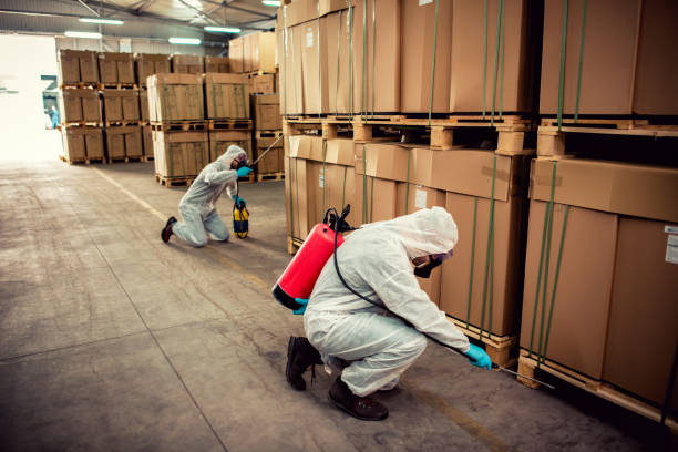 Best Best Pest Control Companies  in Pearsall, TX