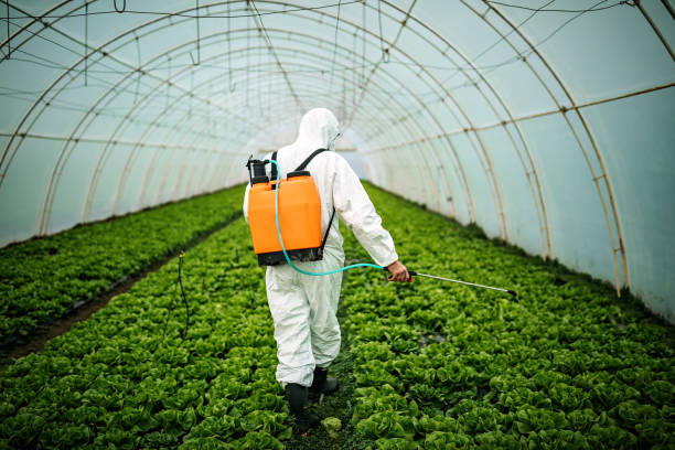 Best Pest Control for Restaurants  in Pearsall, TX