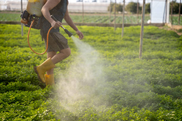 Best Best Pest Control Companies  in Pearsall, TX