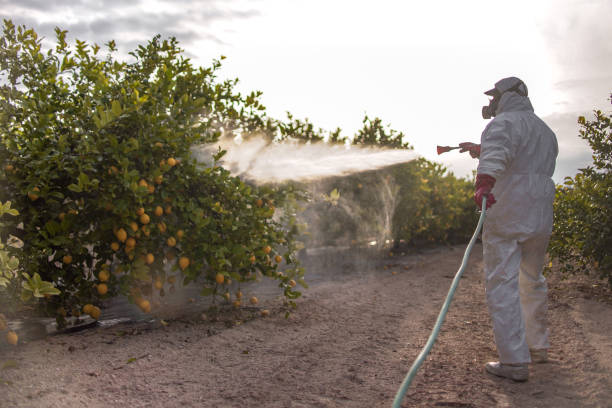 Best Bird Control  in Pearsall, TX