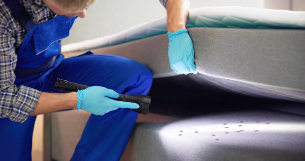 Best Pest Control Near Me in Pearsall, TX