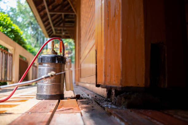 Best Pest Prevention Services  in Pearsall, TX