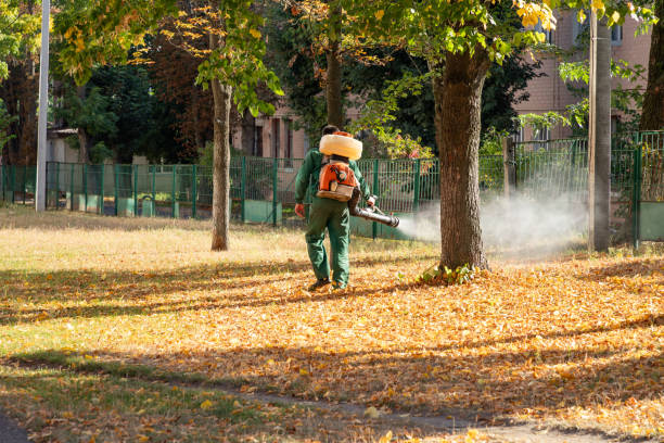 Best Insect Control  in Pearsall, TX
